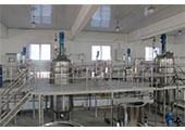 100L-500L-5KL发酵系统